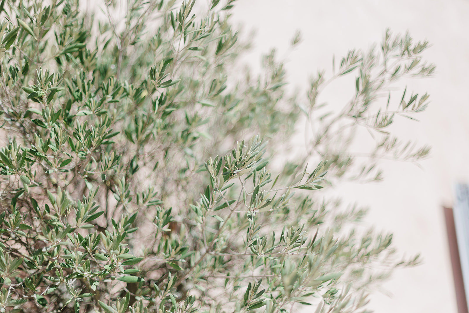 Mariage Chateau de la Garde Provence Sebastien CABANES Wedding Photographer videaste mariage-7